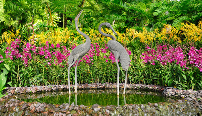 National Orchid Garden